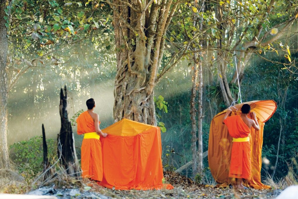 two monks in the thai jungle